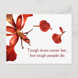 Postcard Royal Poinciana Postkarte