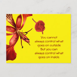 Postcard Royal Poinciana Postkarte