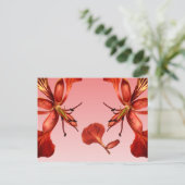 Postcard Royal Poinciana Postkarte (Stehend Vorderseite)