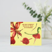 Postcard Royal Poinciana Postkarte (Stehend Vorderseite)