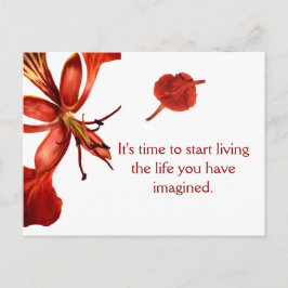 Postcard Royal Poinciana Postkarte