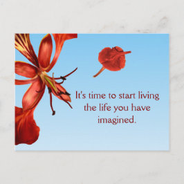 Postcard Royal Poinciana Postkarte