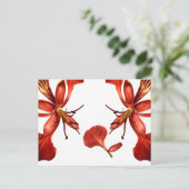 Postcard Royal Poinciana Postkarte (Stehend Vorderseite)