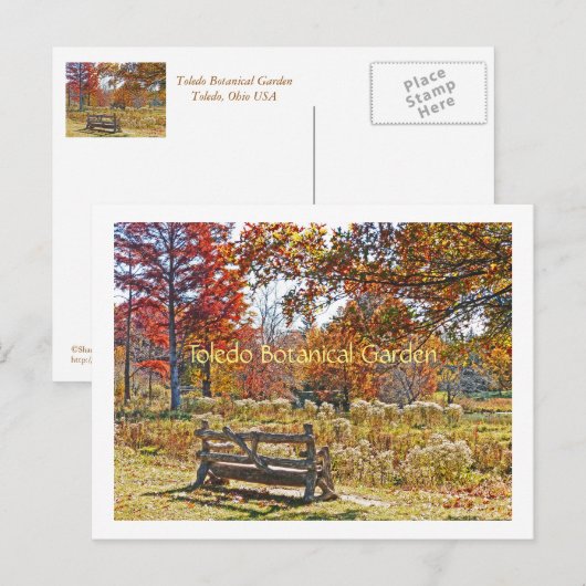 Postcard/RUSTIC BEND AMID FALL FALL FALL FARBE BEI Postkarte (Vorne/Hinten)
