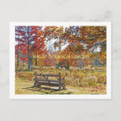 Postcard/RUSTIC BEND AMID FALL FALL FALL FARBE BEI Postkarte (Vorderseite)
