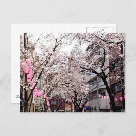 Postcard Sakura im Kirschblossom von Tokio, Japan Postkarte (Vorne/Hinten)