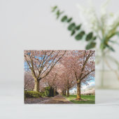 Postcard Salem Cherry Blossoms & Squirrel Oregon Postkarte (Stehend Vorderseite)
