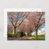 Postcard Salem Cherry Blossoms & Squirrel Oregon Postkarte (Vorne/Hinten)