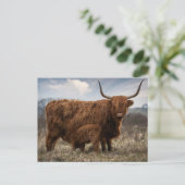 Postcard Schotse Hooglander met kalf Postkarte (Stehend Vorderseite)