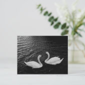 Postcard-Schwan-Paar Postkarte (Stehend Vorderseite)
