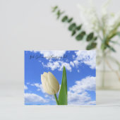 Postcard Seek God White Tulip Blue Sky Postkarte (Stehend Vorderseite)