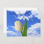 Postcard Seek God White Tulip Blue Sky Postkarte (Vorne/Hinten)