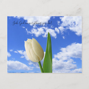Postcard Seek God White Tulip Blue Sky Postkarte