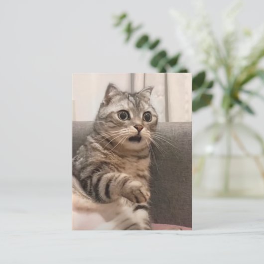 Postcard Shoted Cat Meme Postkarte (Stehend Vorderseite)