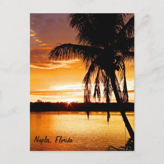Postcard Silhouette Palm Tree, Orange Sunset Sky Postkarte (Vorderseite)