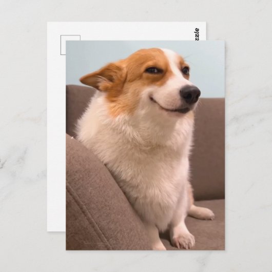 Postcard Smiling Corgi Meme Postkarte (Vorne/Hinten)
