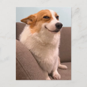 Postcard Smiling Corgi Meme Postkarte