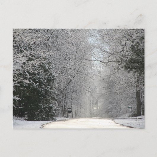 Postcard, Snow-Szene Hi-def-Fotografie Postkarte (Vorderseite)
