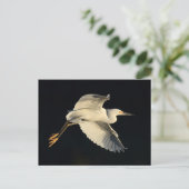 Postcard - Snowy egret flyby Postkarte (Stehend Vorderseite)