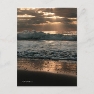 PostCard_splash Postkarte