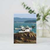 Postcard Stonington, Maine Postkarte (Stehend Vorderseite)