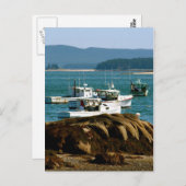 Postcard Stonington, Maine Postkarte (Vorne/Hinten)