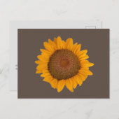 Postcard Sunflower Postkarte (Vorne/Hinten)