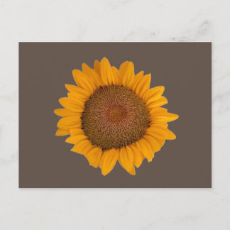 Postcard Sunflower Postkarte