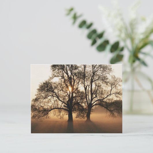 Postcard, Tree Postkarte (Stehend Vorderseite)