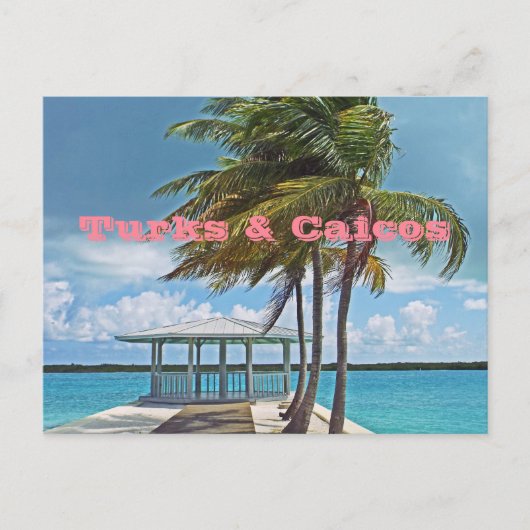 Postcard, TURKS & CAICOS INSELN/PALMBAUM, PIER, Postkarte (Vorderseite)