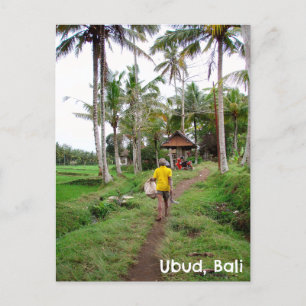 Postcard Ubud Bali Indonesia Reisfelder Mann Postkarte