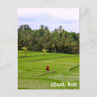 Postcard Ubud Bali Indonesia Reisfelder Postkarte