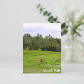 Postcard Ubud Bali Indonesia Reisfelder Postkarte (Stehend Vorderseite)