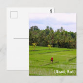 Postcard Ubud Bali Indonesia Reisfelder Postkarte (Vorne/Hinten)