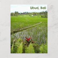 Postcard Ubud Bali Indonesia Reisfelder