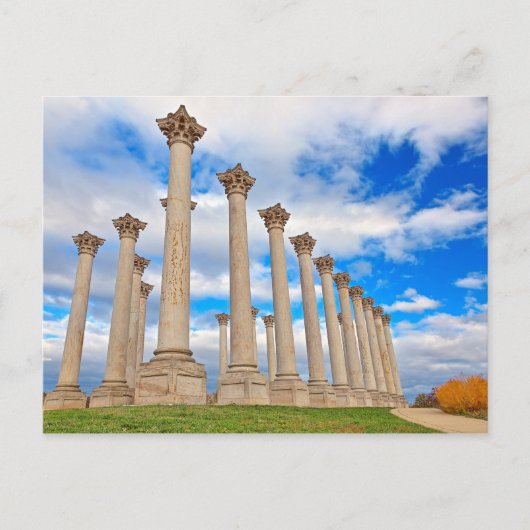 Postcard US National Arboretum in Washington DC Postkarte (Vorderseite)