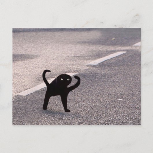 Postcard verflucht Cat Meme Postkarte (Vorderseite)