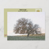 POSTCARD - Vergessene Eiche Postkarte (Vorne/Hinten)