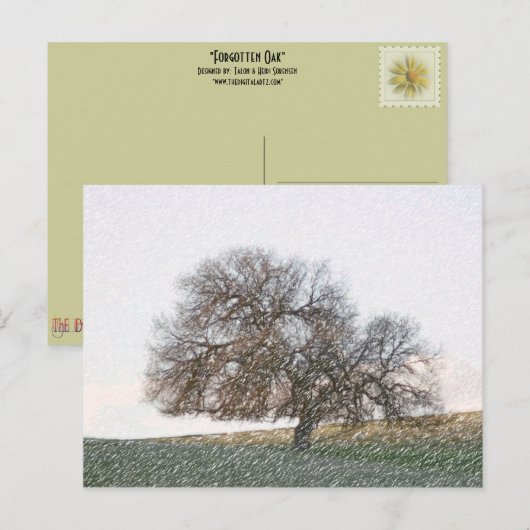 POSTCARD - Vergessene Eiche Postkarte (Vorne/Hinten)