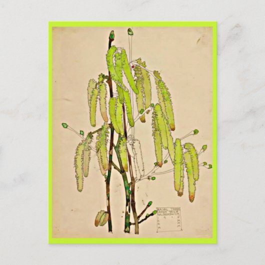 Postcard-Vintag Art-Charles Rennie Mackintosh 11 Postkarte (Vorderseite)
