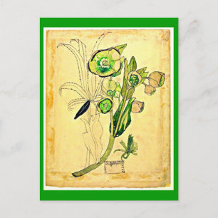 Postcard-Vintag Art-Charles Rennie Mackintosh 19 Postkarte