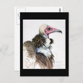 Postcard-Vintag Chicago Art-Abyssinian Birds 10 Postkarte (Vorne/Hinten)