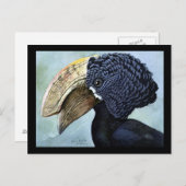 Postcard-Vintag Chicago Art-Abyssinian Birds 16 Postkarte (Vorne/Hinten)