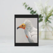 Postcard-Vintag Chicago Art-Abyssinian Birds 3 Postkarte (Stehend Vorderseite)