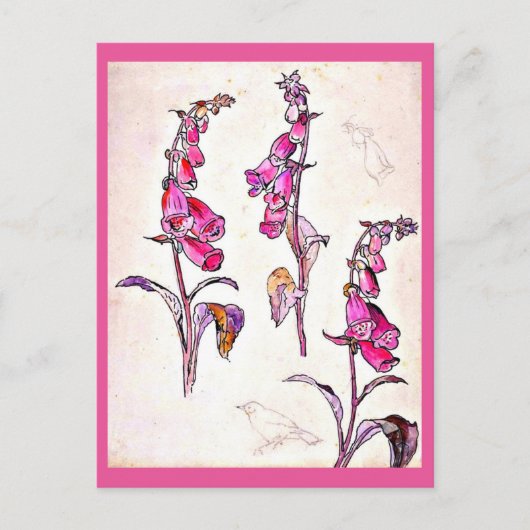 Postcard-Vintag Illustration-Beatrix Potter 13 Postkarte (Vorderseite)