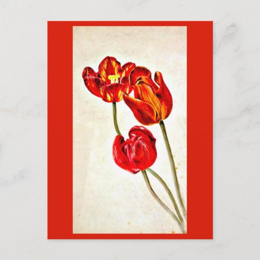 Postcard-Vintag Illustration-Beatrix Potter 5 Postkarte (Vorderseite)