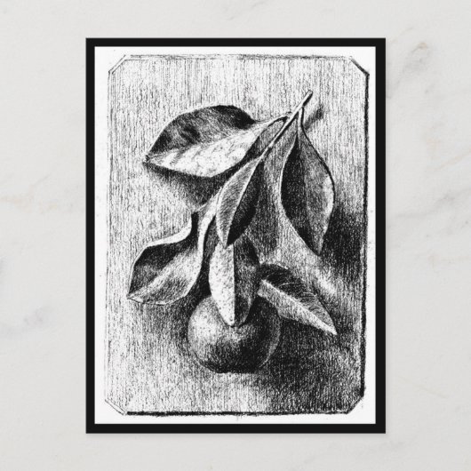 Postcard-Vintag Illustration-Beatrix Potter 8 Postkarte (Vorderseite)