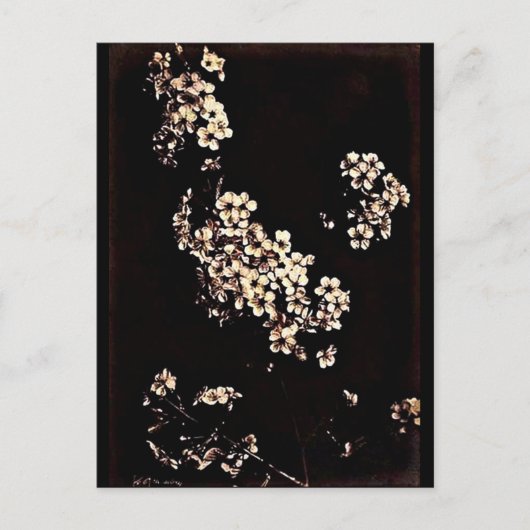 Postcard-Vintage Fotografie-Charles Aubry 27 Postkarte (Vorderseite)