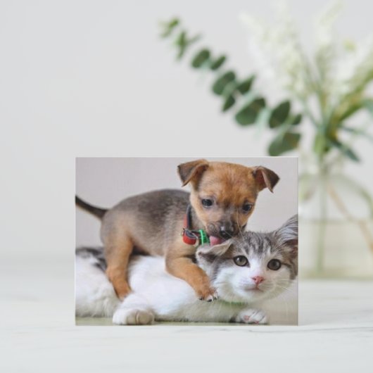 Postcard - Wash Time! Postkarte (Stehend Vorderseite)