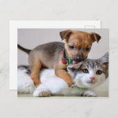 Postcard - Wash Time! Postkarte (Vorne/Hinten)